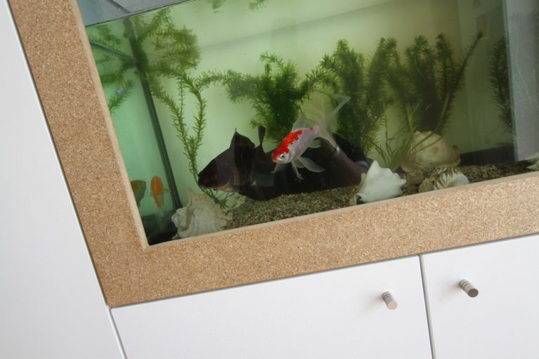 Fish tank built into fitted cubpaords.