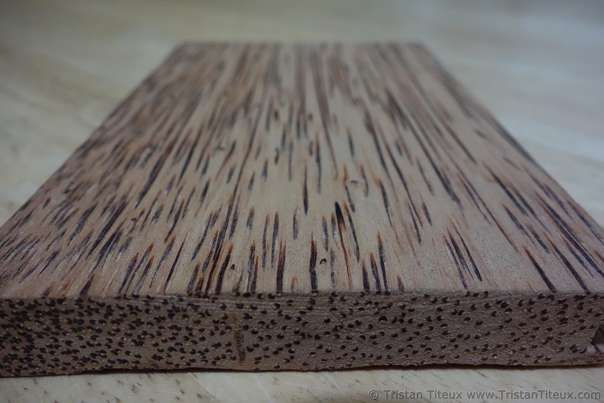 Coconut Palm tree wood Eco Material (4)